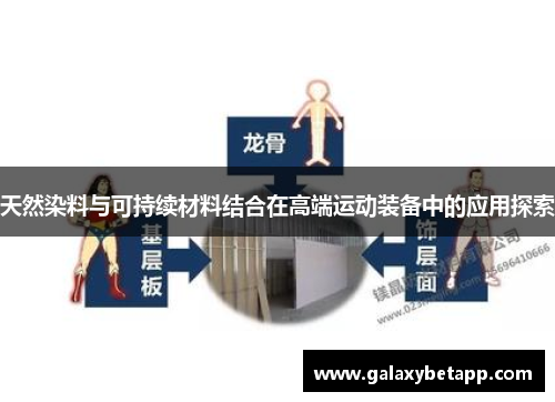 天然染料与可持续材料结合在高端运动装备中的应用探索